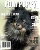 Pet Photography